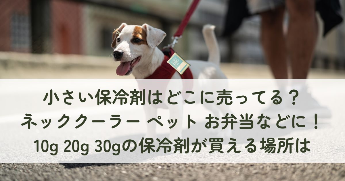小さい保冷剤はどこに売ってる？ネッククーラー ペット お弁当などに！10g 20g 30gが買える場所は